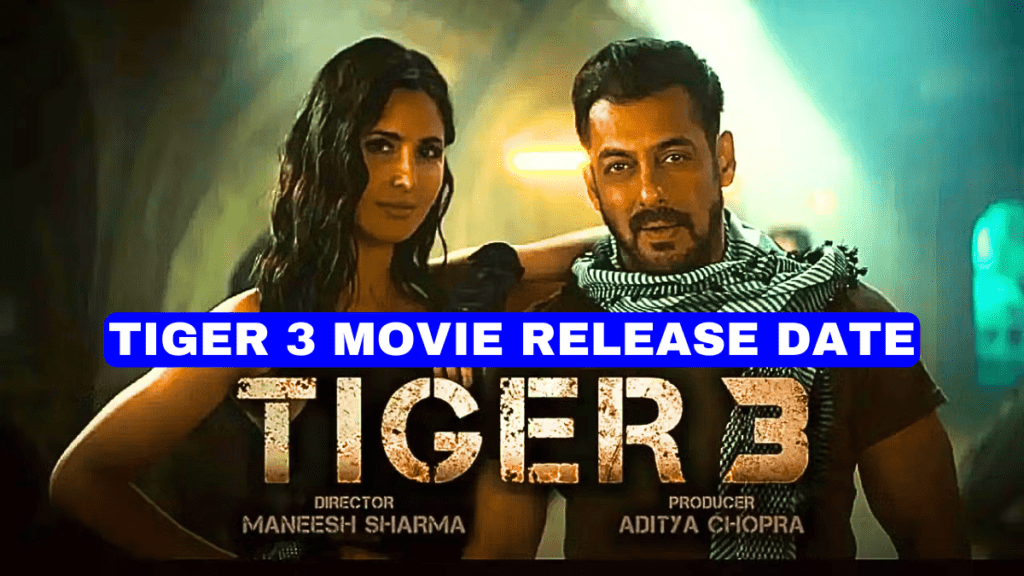 (Real Date) Tiger 3 Release Date, Budget, Story, Cast, Trailer and Predictions