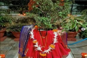 Tulsi Vivah Kaise Kiya Jata Hai 2023: तुलसी विवाह कब है और शुभ मुहूर्त जानें