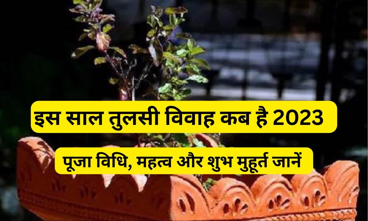 Tulsi Vivah Kaise Kiya Jata Hai 2023: तुलसी विवाह कब है और शुभ मुहूर्त जानें