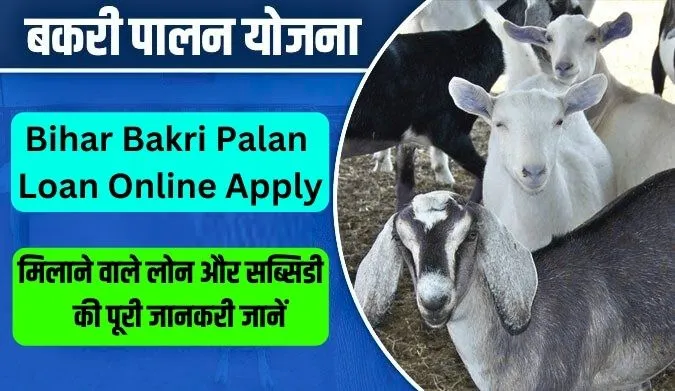Bakri Palan Loan Online Apply: बकरी पालन के लिए मिलगा लोन और 60% सब्सिडी भी ऐसे करें आवेदन